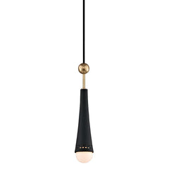 Tupelo Pendant by Hudson Valley Lighting 2130-AGB