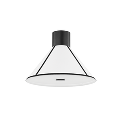 Forrest Semi-Flush Ceiling Light