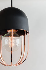 Mitzi-Haley Pendant Light in Glossy Metal Cage Design with Black Dome Cover and Aged Brass or Polished Nickel Finishes