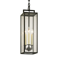 Troy Lighting Beckham Outdoor Hanging Light with Clear Glass Panels and Elegant Forged Iron Finish